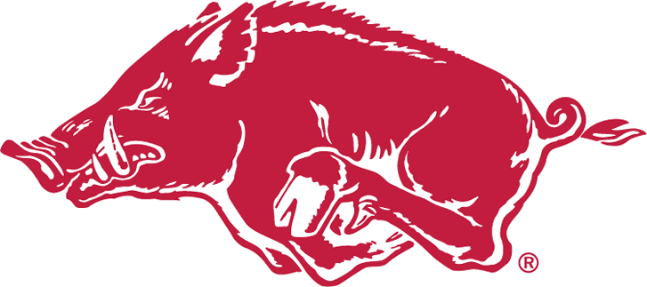 Arkansas Razorbacks 1967-2000 Alternate Logo v2 diy DTF decal sticker